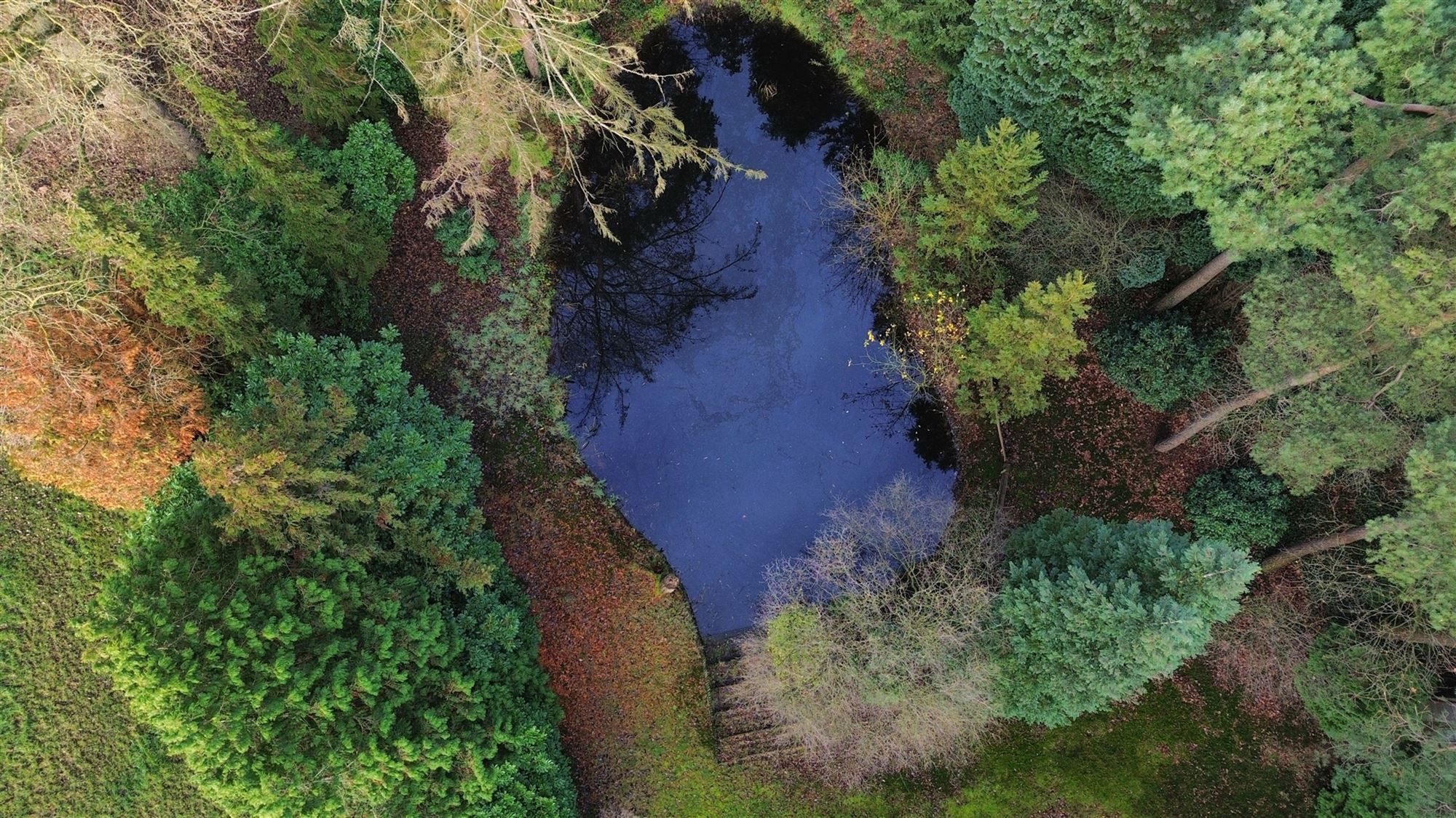 Charmante chalet met privatieve vijver op idyllisch perceel foto 44