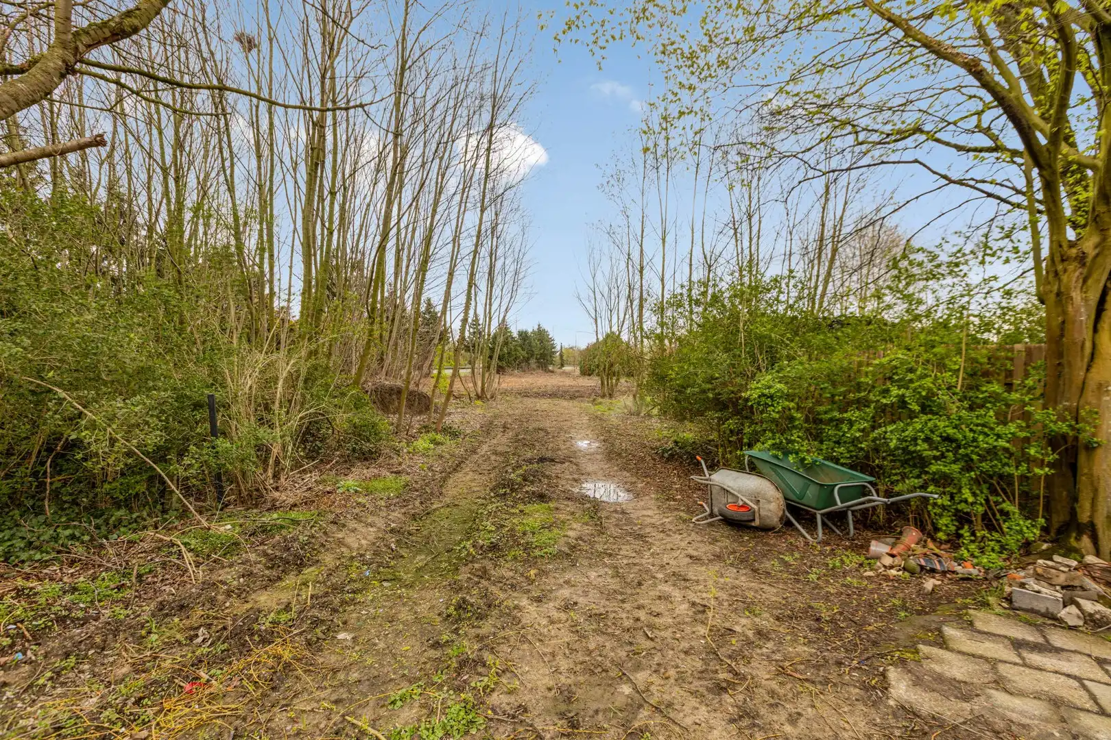 Lindenstraat 15, 3590 Diepenbeek foto 26