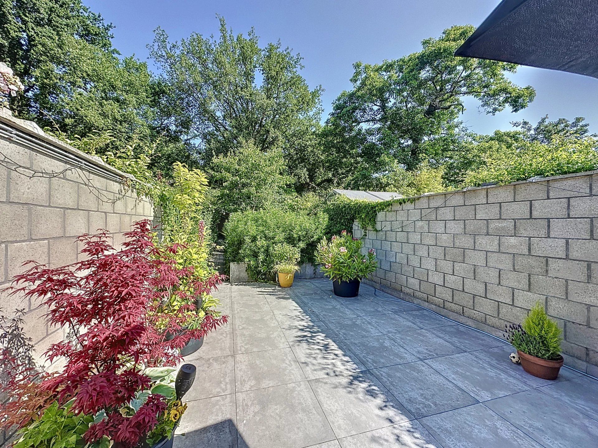Super gezellige woning met groot terras, mooie bloementuin en carport. foto 13