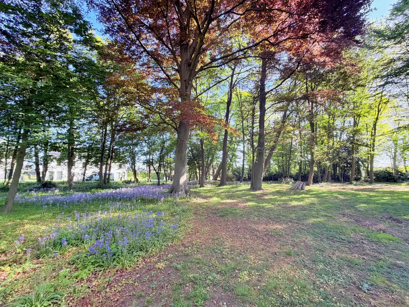 Karaktervolle villa op uitzonderlijk parkdomein van 67 are met ontwikkelingspotentieel vlakbij Gent foto 5