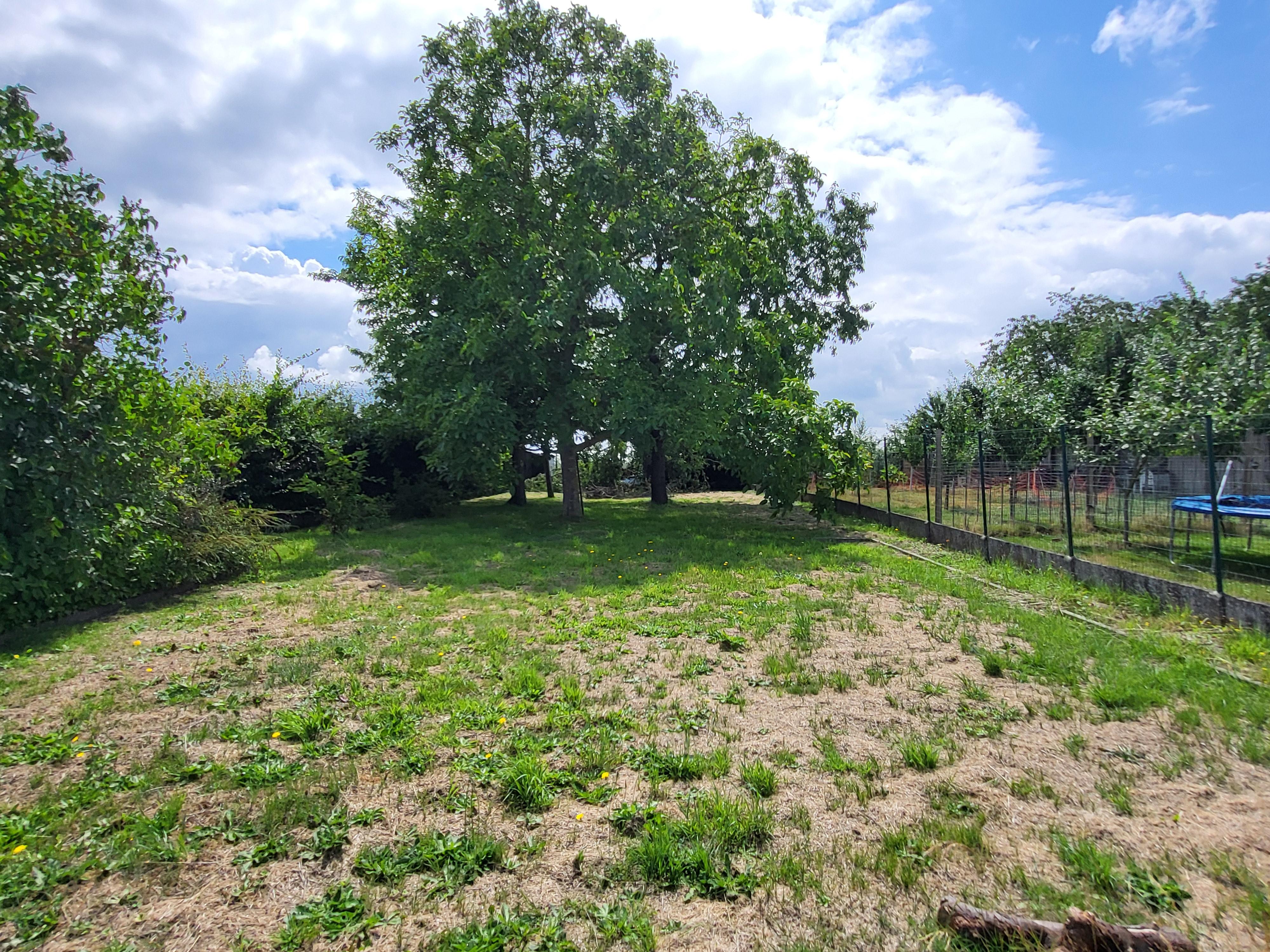 Prachtige burgerwoning op 950 m² met ruime garage en zuidgerichte tuin gelegen in de Vlaamse Ardennen.  foto 3