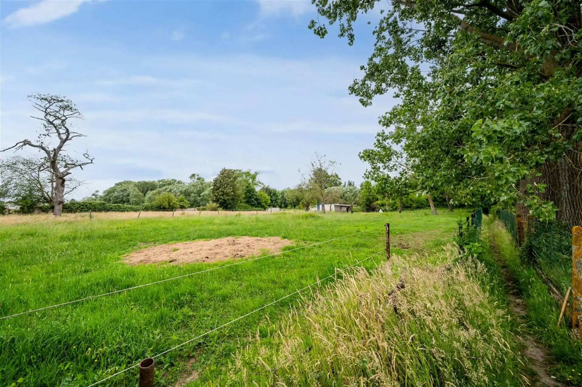 Landbouwgrond 6521m² in het landelijke Kerksken foto 4