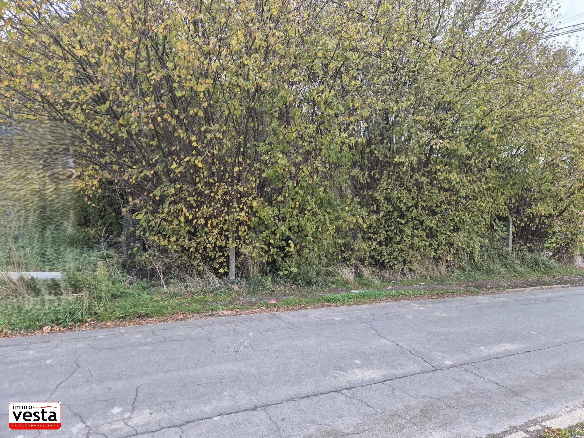 Zeer ruime, rustig gelegen bouwgrond foto 2