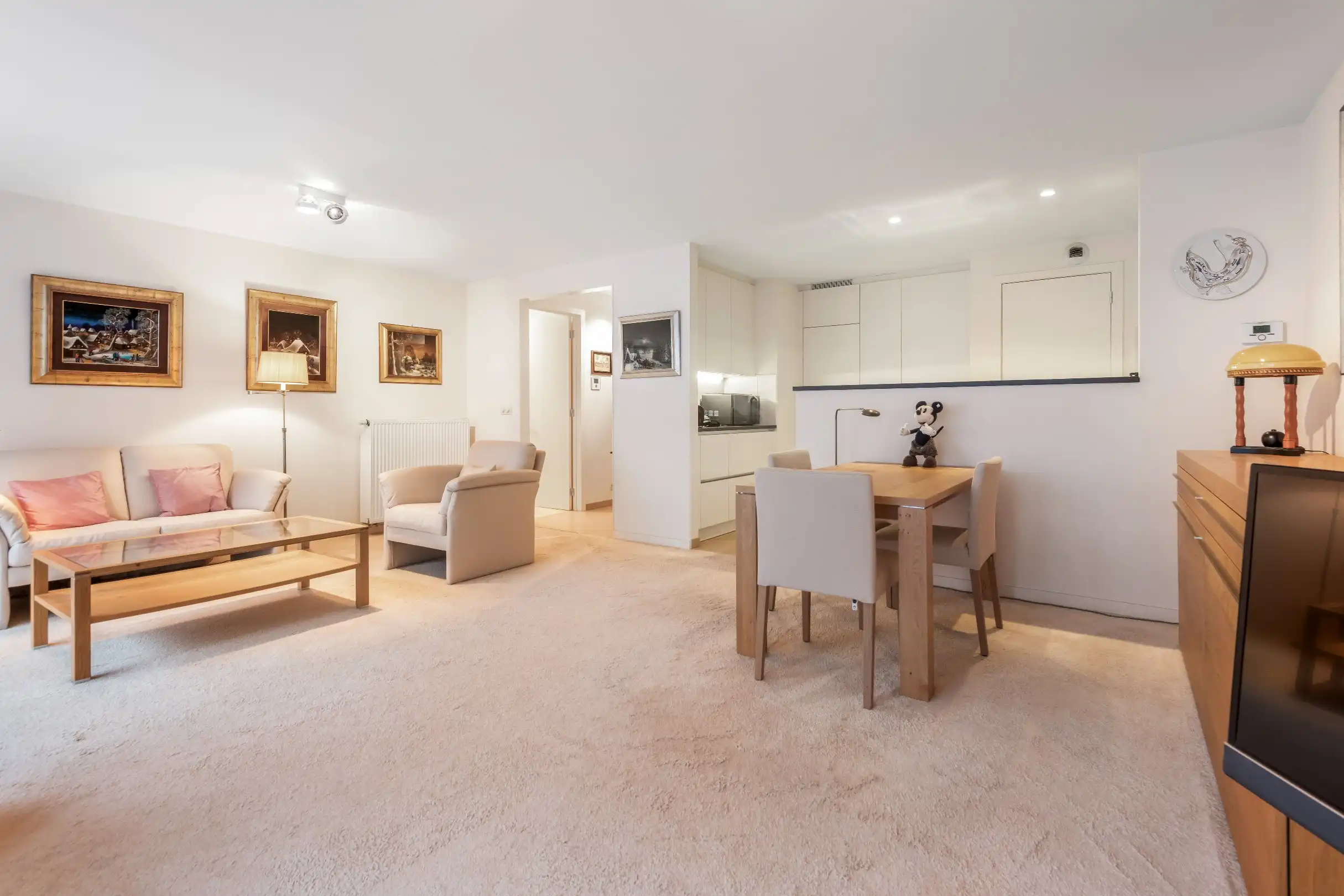 Recent appartement met terras gelegen op de Dumortierlaan.  foto 10