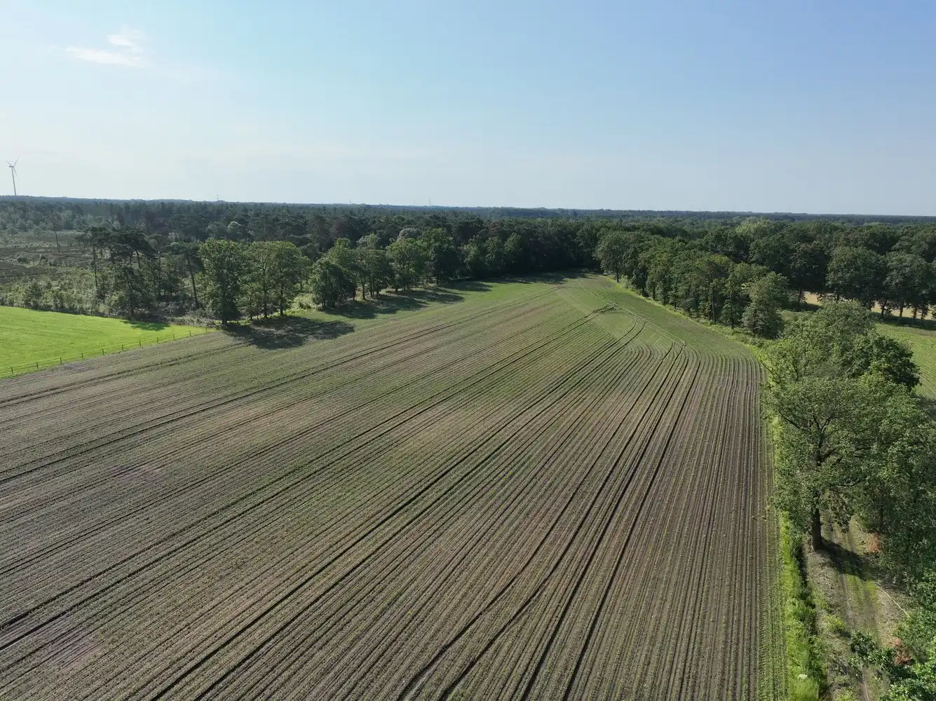 Landbouwgrond: 4ha 84a 60ca foto 2