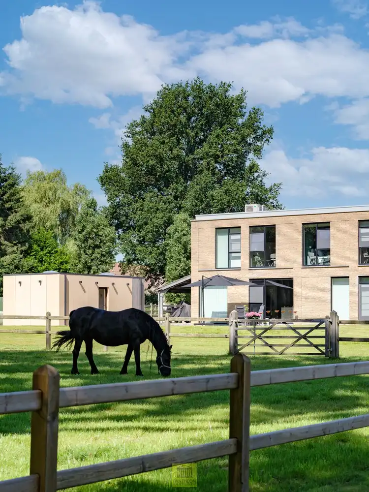 Uitzonderlijk pand - manege met gastenverblijf foto 13