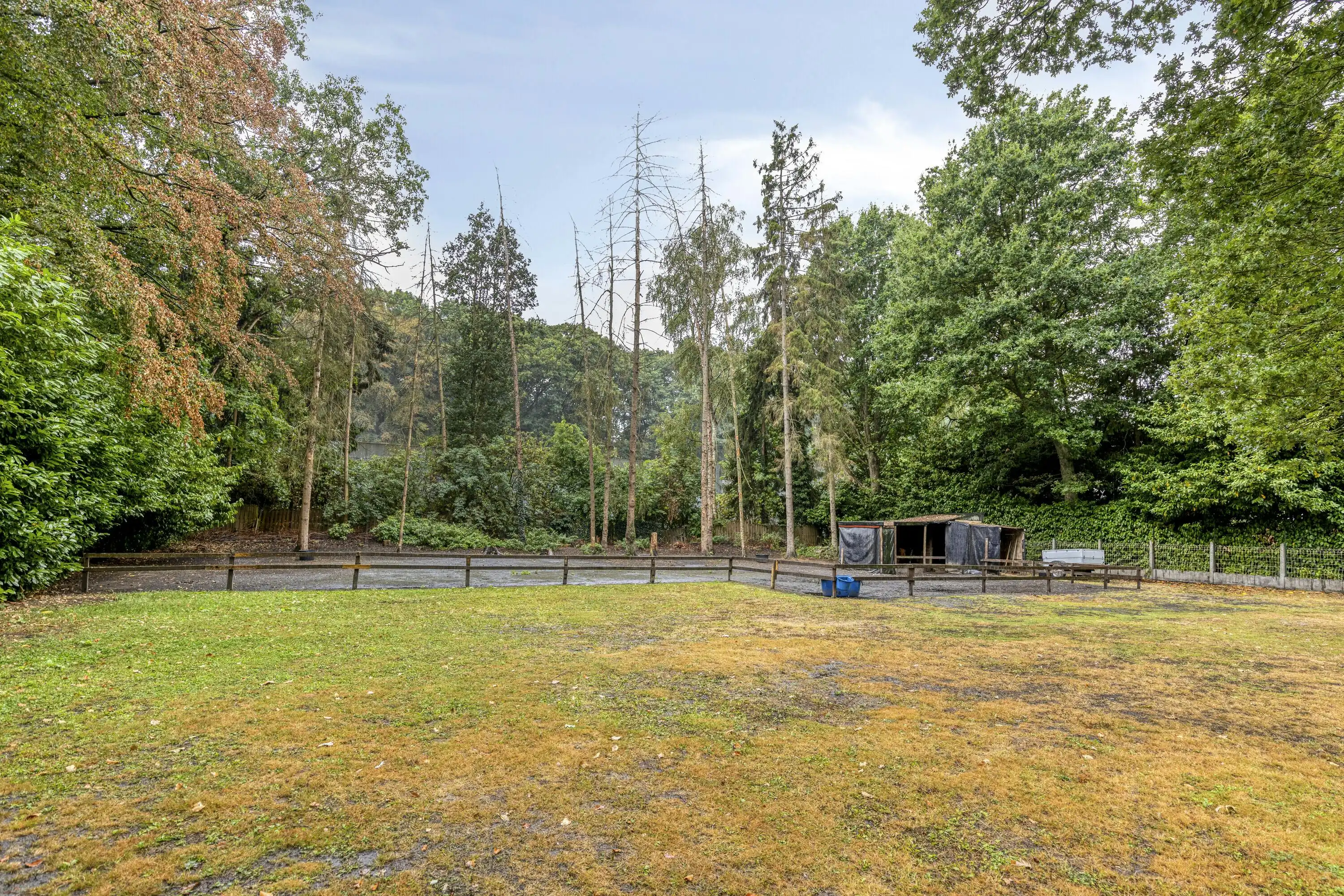 Unieke kans op een riant perceel van 3.180 m² te Aalter! foto 11