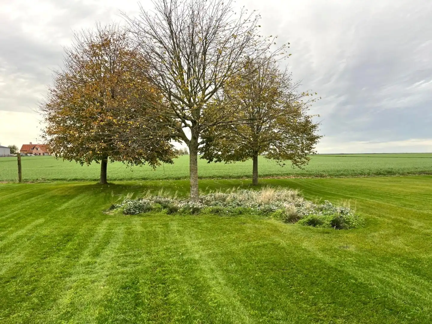 LANDELIJK GELEGEN ALLEENSTAANDE CONCIERGE WONING MET 3 SLPKS | GROTE TUIN foto 9