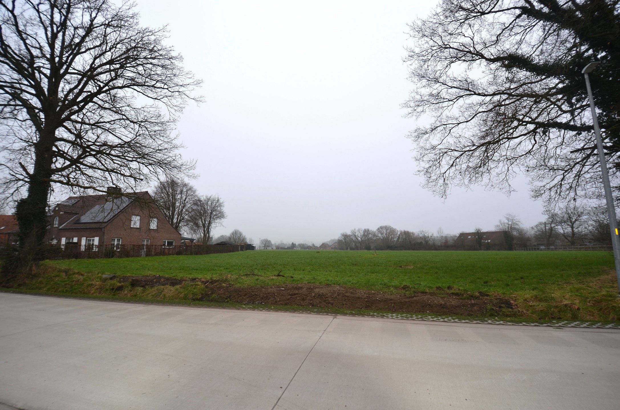 Mooi weiland foto 6