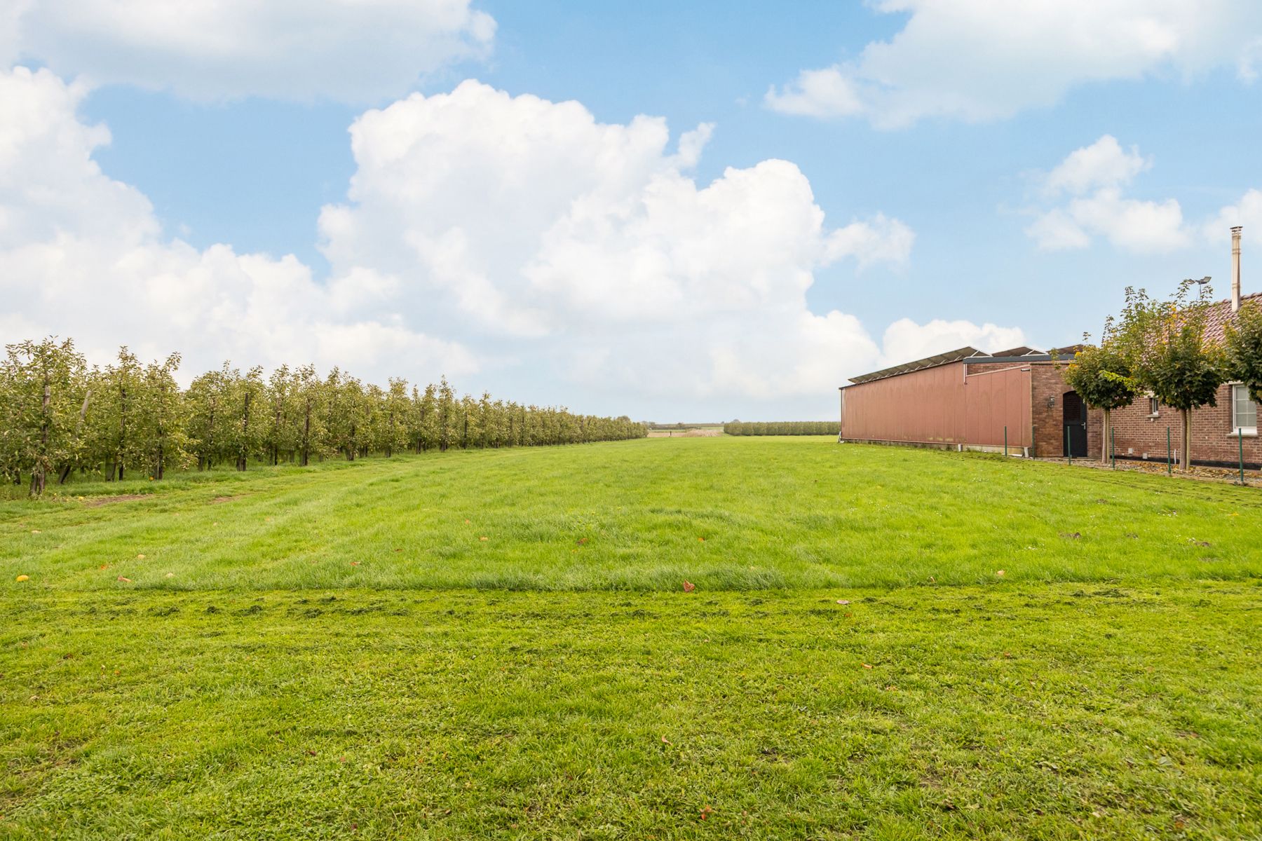 Huis te koop foto 56