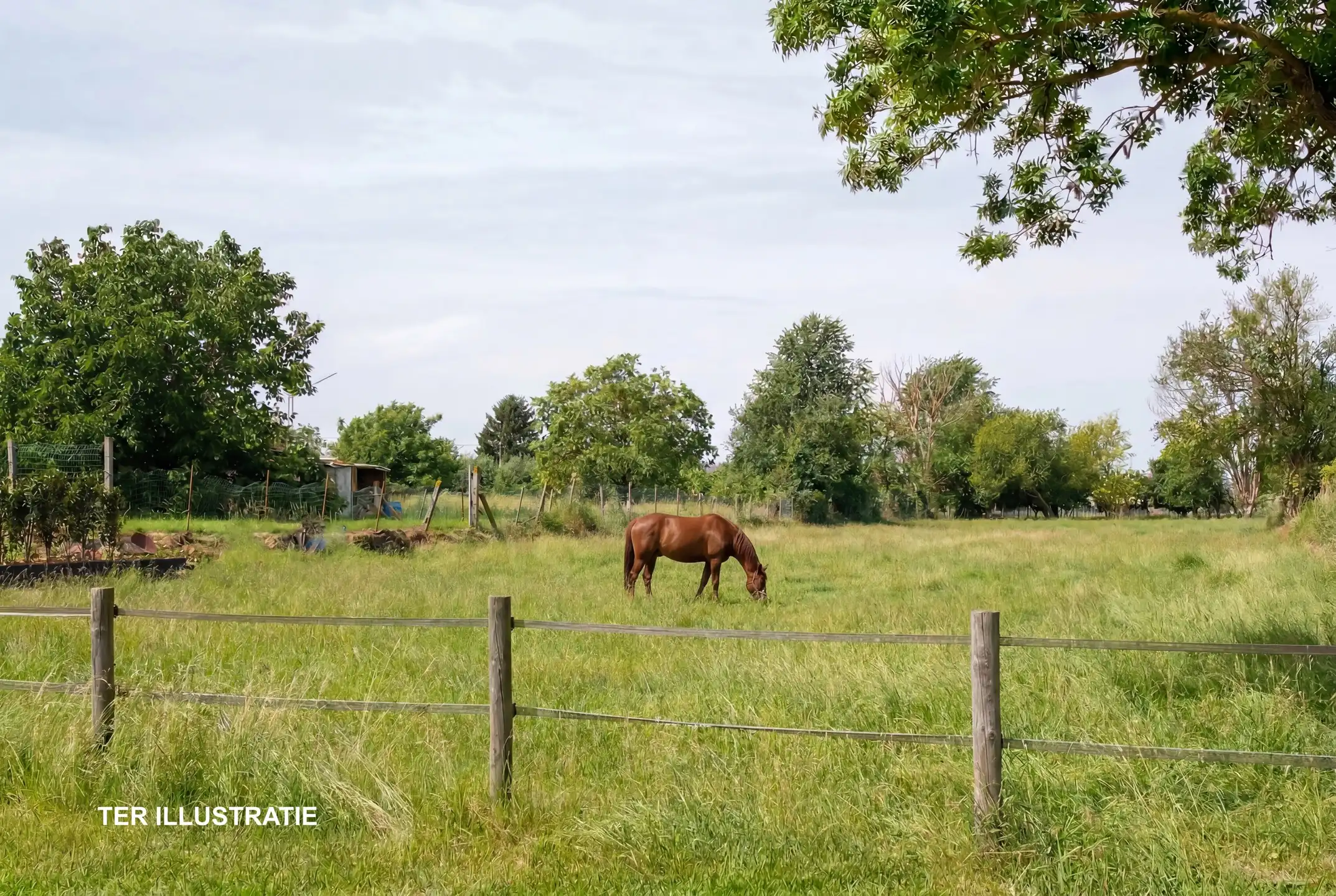 WELLE - Exclusief wonen in een volledig vernieuwde herenwoning! foto 27