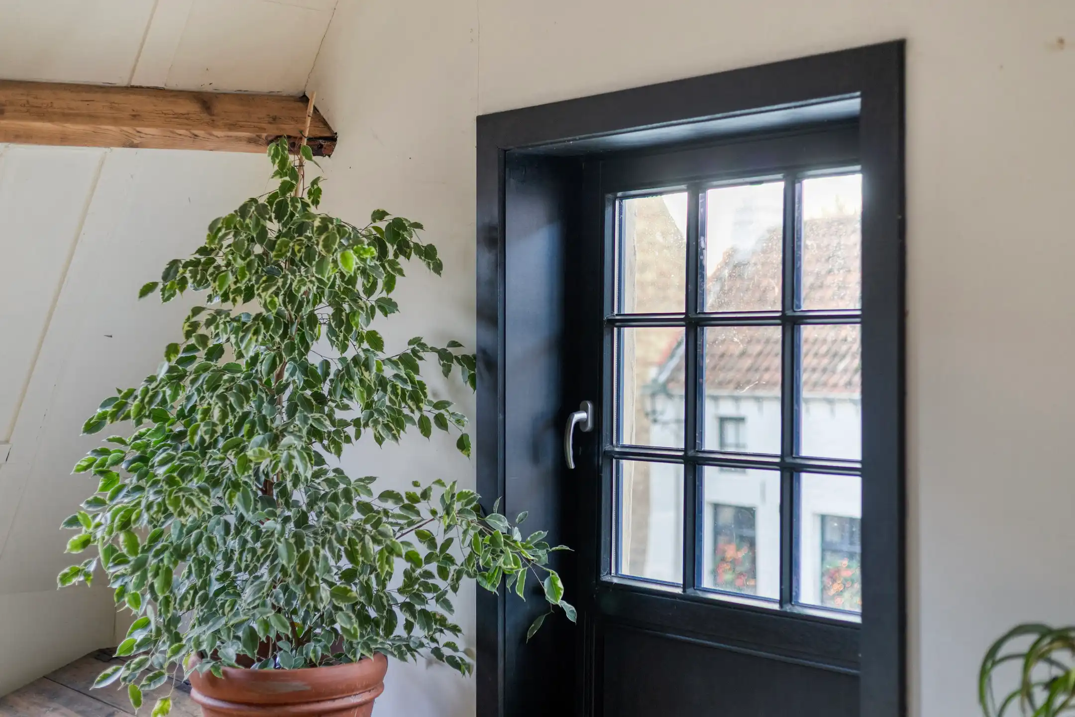 Karaktervol handelspand met appartement in centrum Damme foto 23