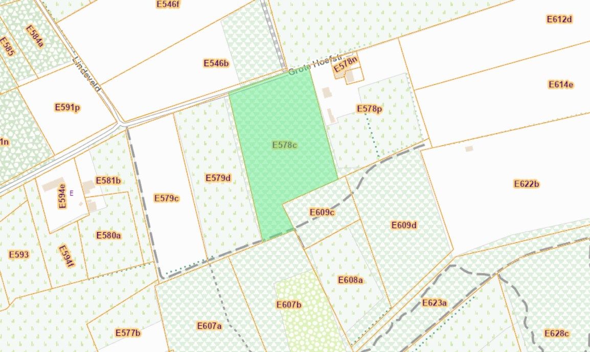 Perceel bosgrond van 1ha 35a 50ca foto 2