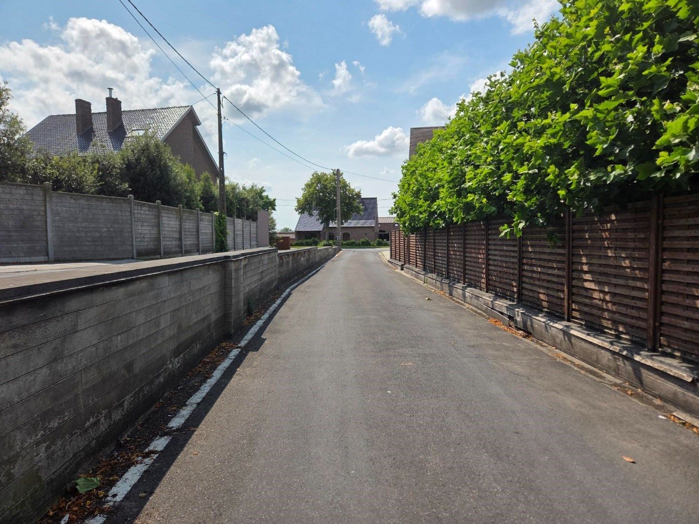 Opslagruimte van 555m² met bureel foto 19