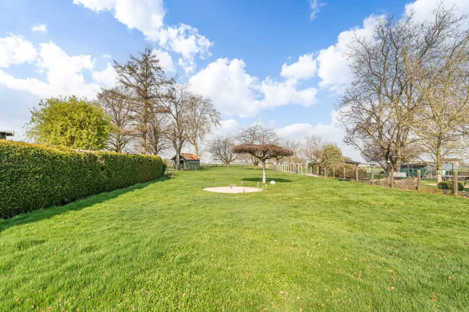 Zeer goed onderhouden gelijkvloerse gezinswoning op een riant perceel van 19a75ca op een rustige locatie te Schalkhoven, een deelgemeente van Hoeselt.  foto 39