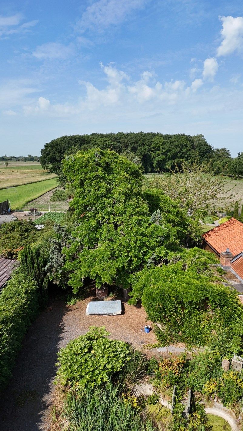 Woning te Ichtegem op een grondperceel van 936m²  foto 23