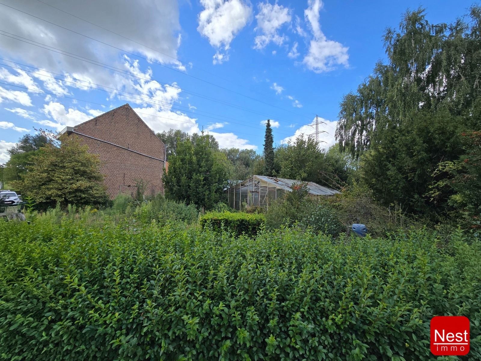 BOD  foto {{pictureIndex}}