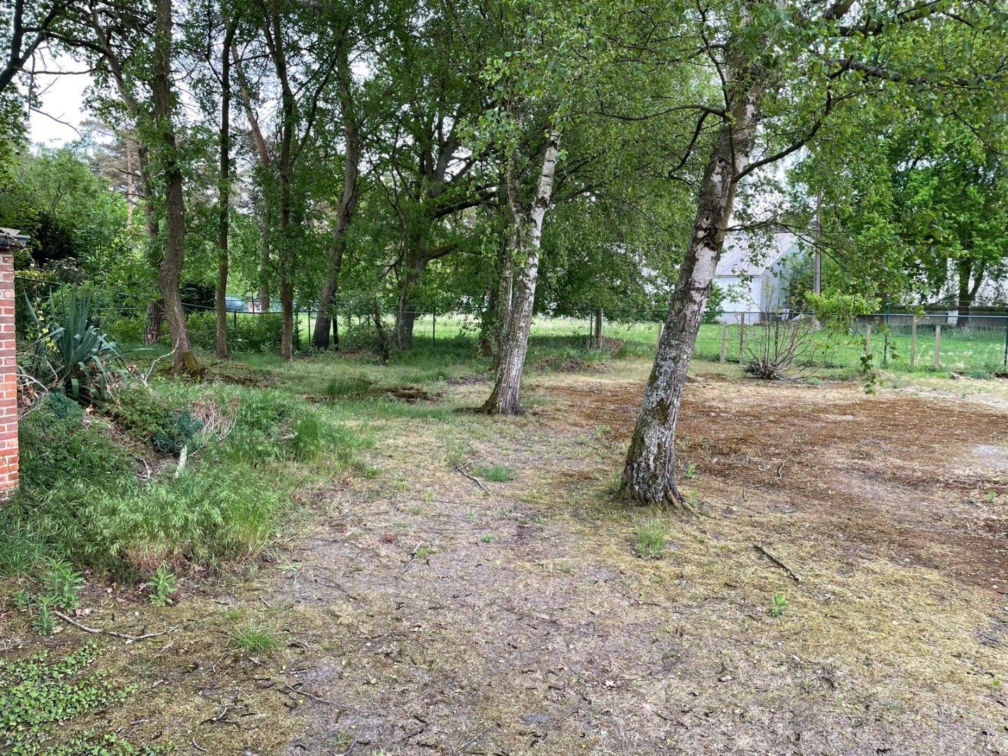 Gelijkvloerse woning in Mol met 1302m² tuin foto 17