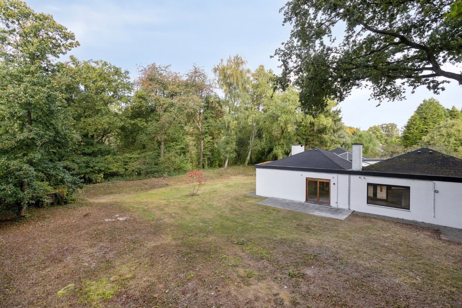 Ruime woning in een doodlopende straat met 4 slaapkamers, 2 badkamers op een prachtig perceel vlak bij het Meerdaalwoud  foto 35