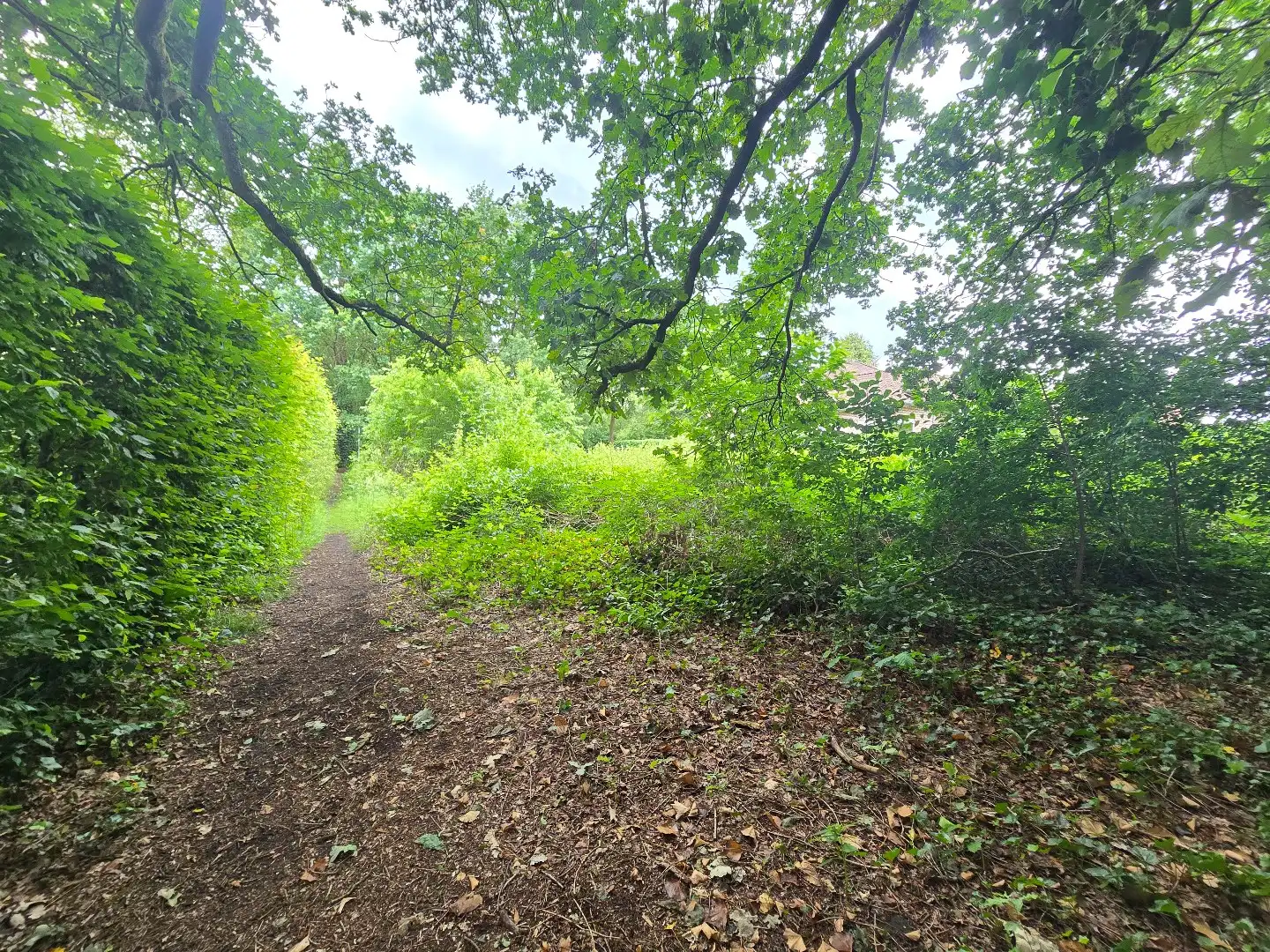 Bouwgrond voor OB, 9a16ca, met zicht op groen foto 8