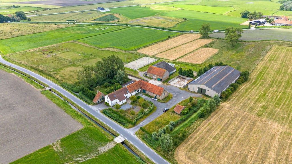 HOEVE op 6,9 HA met NIEUWE VERGUNNING voor PAARDENFOKKERIJ foto 20