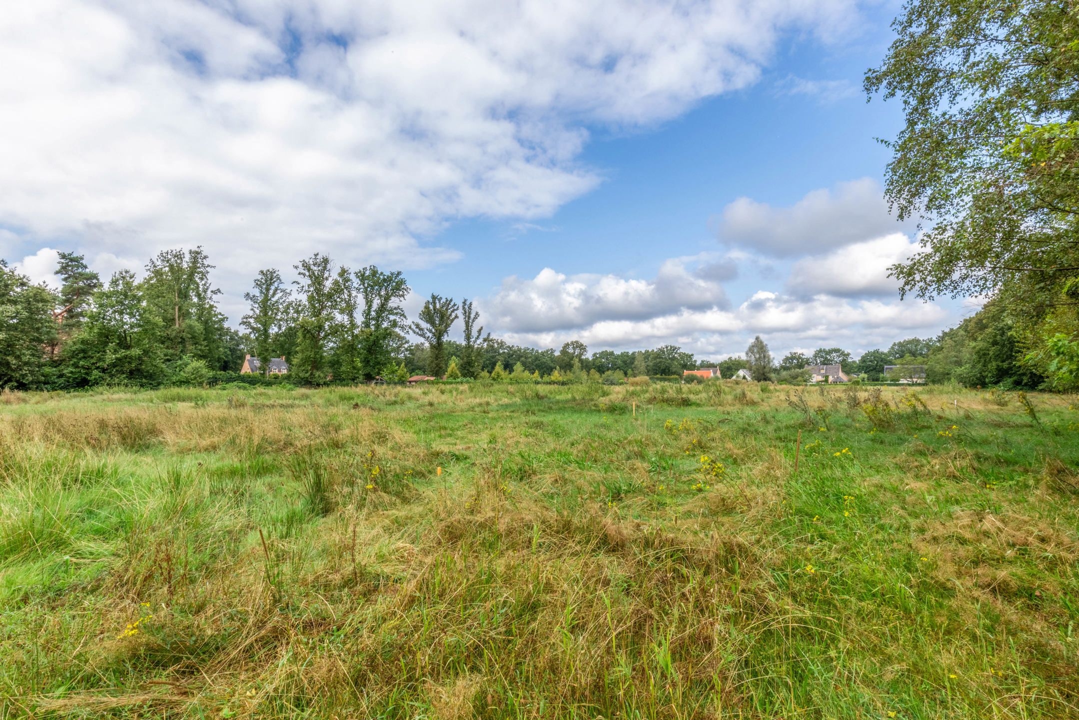 Exclusieve bouwgrond met een oppervlakte van 21.954m² foto 2