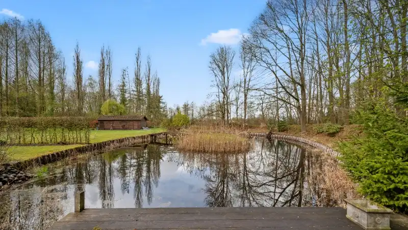 Ruime villa van 336m² op 1 hectare 45 are met vijver foto 32