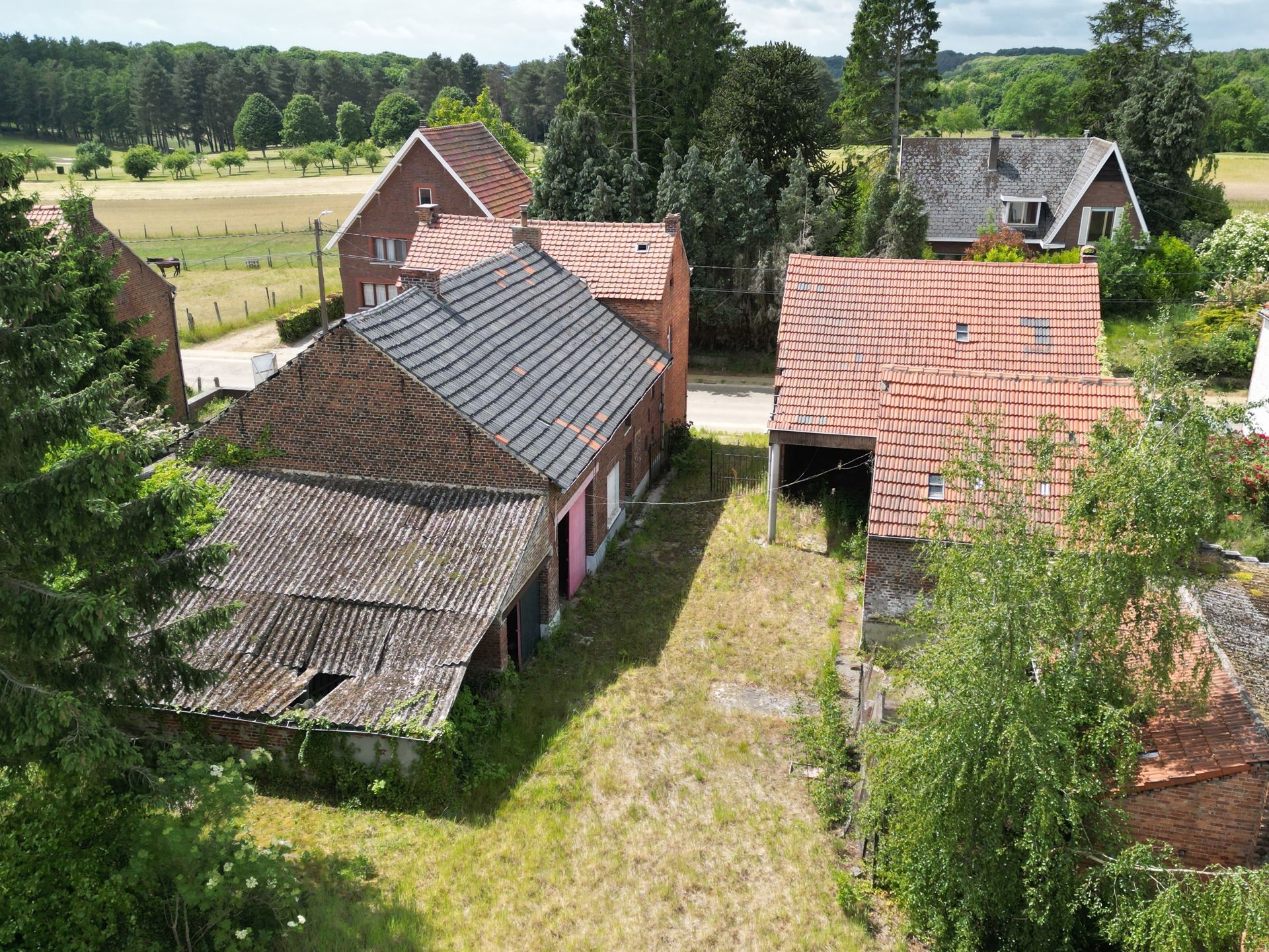 Grond te koop foto 4