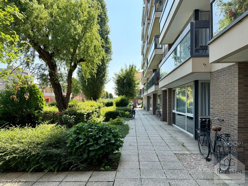 Oase in de vaart van Maastricht foto 38