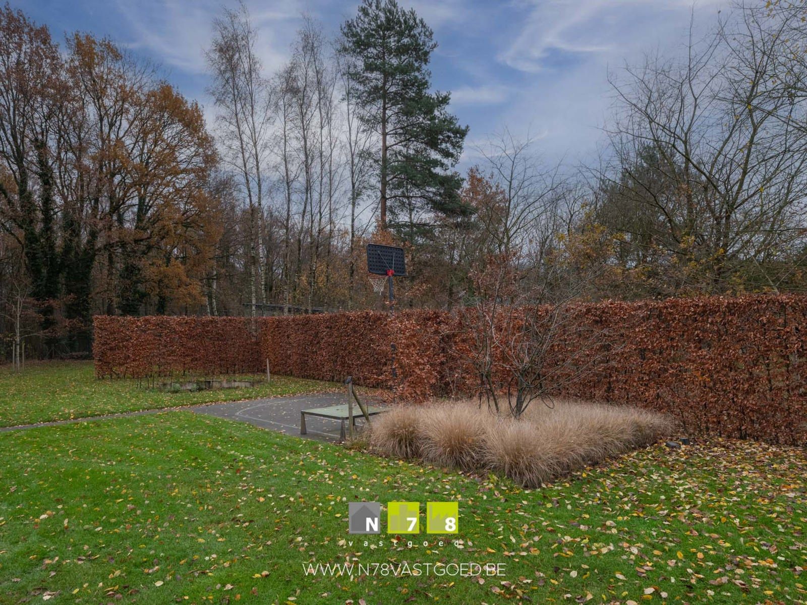 Huis te koop foto 48