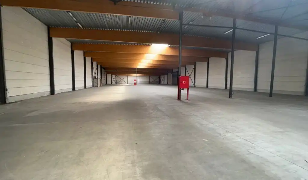 Gerenoveerd magazijn te huur aan A12 in Wilrijk foto 4