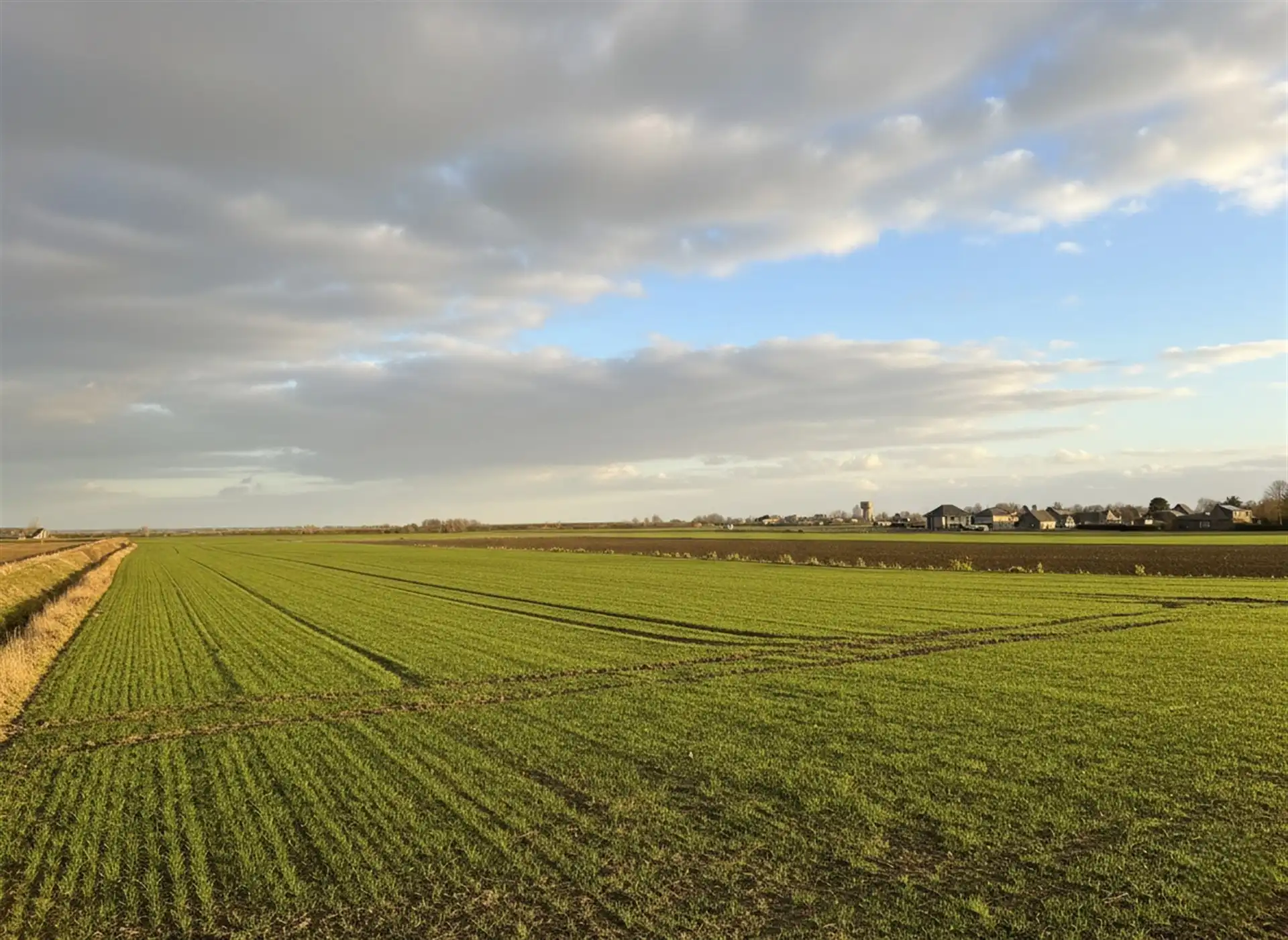 Landbouwgrond foto {{pictureIndex}}