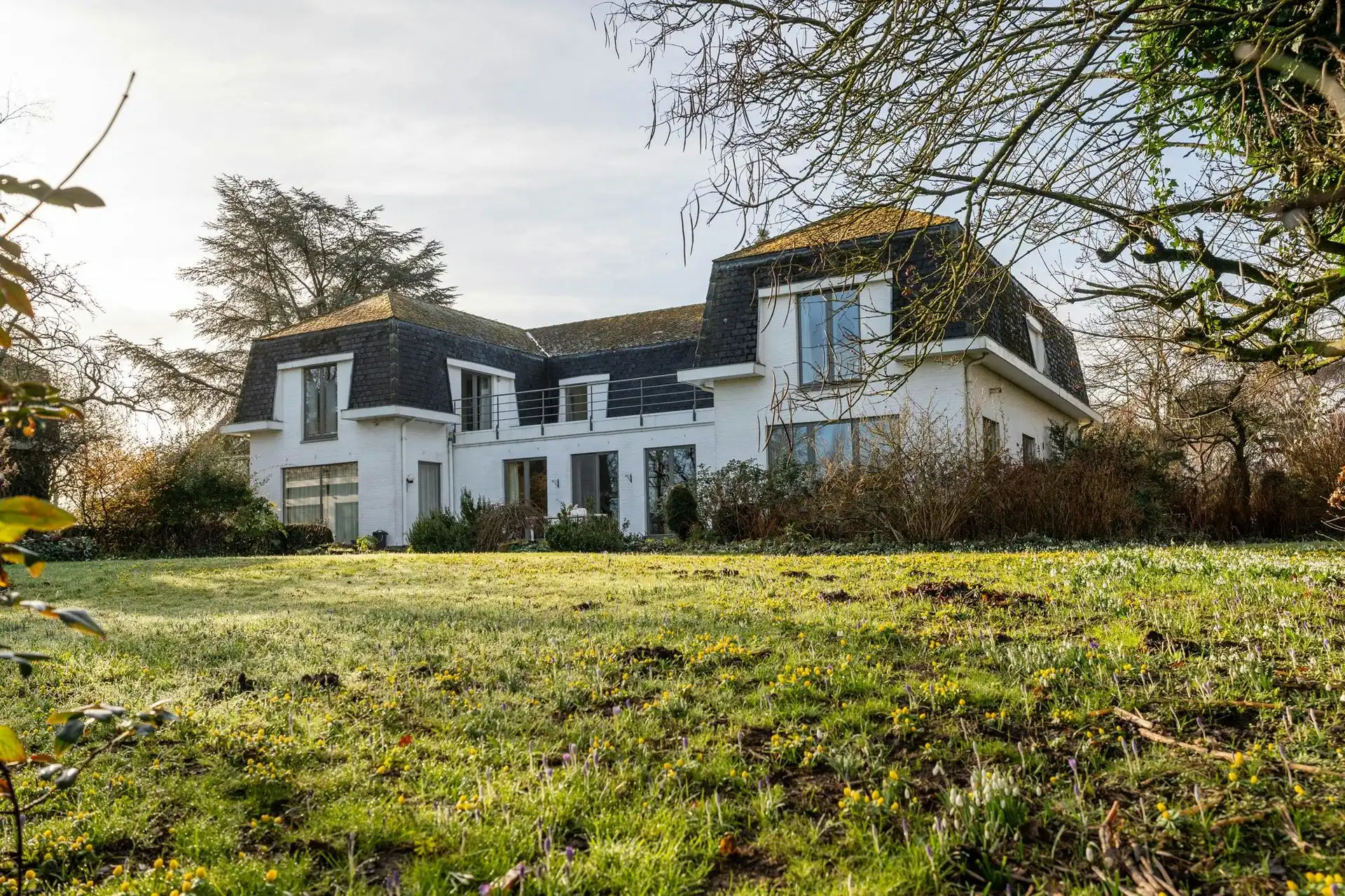 Karaktervolle architectenvilla op uitzonderlijk domein in Diepenbeek foto 3