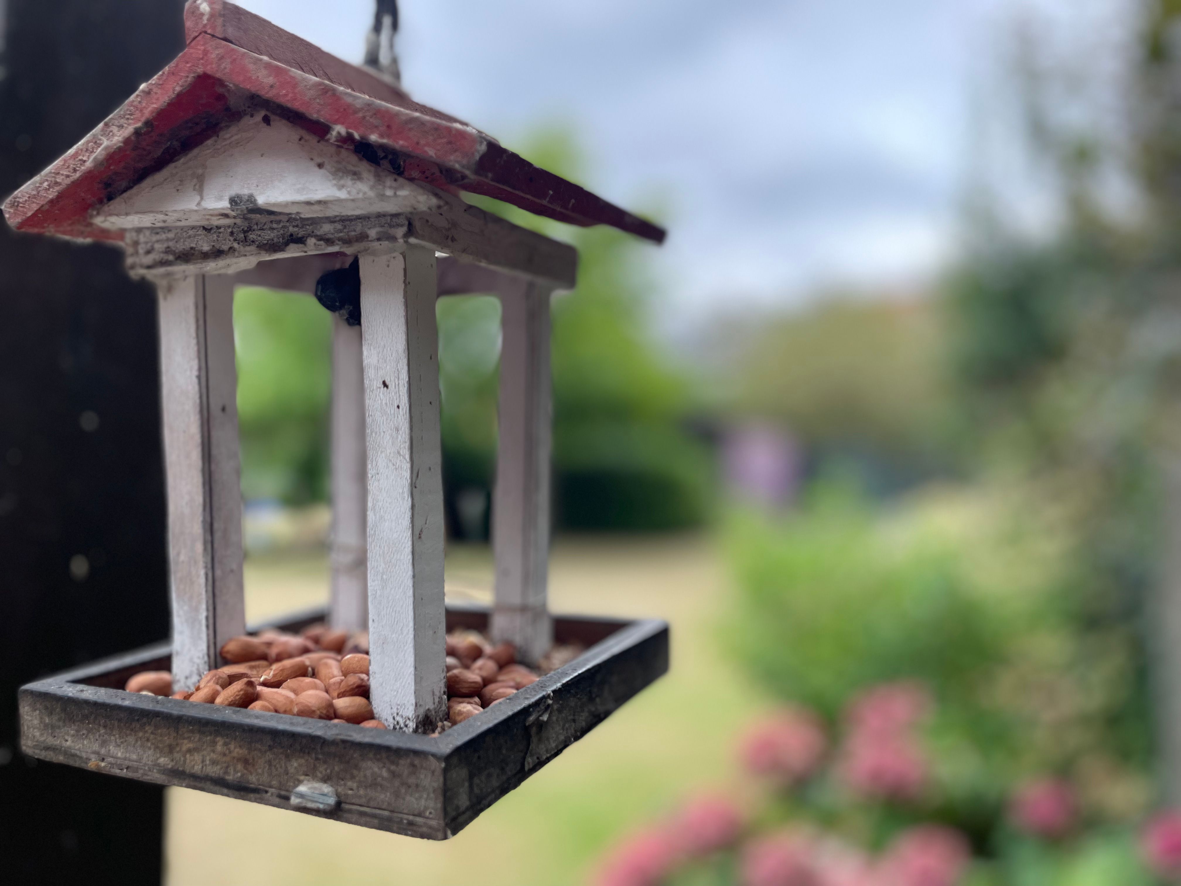 instapklare woonst gelegen op een begeerlijke plek te Landen foto 36