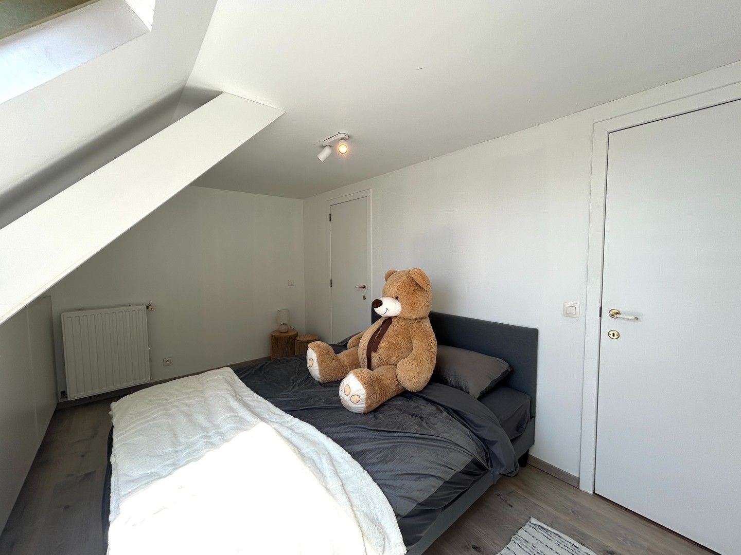 Instapklare woning met commerciële ruimte, tuin & garage te centrum Tielt! foto 8