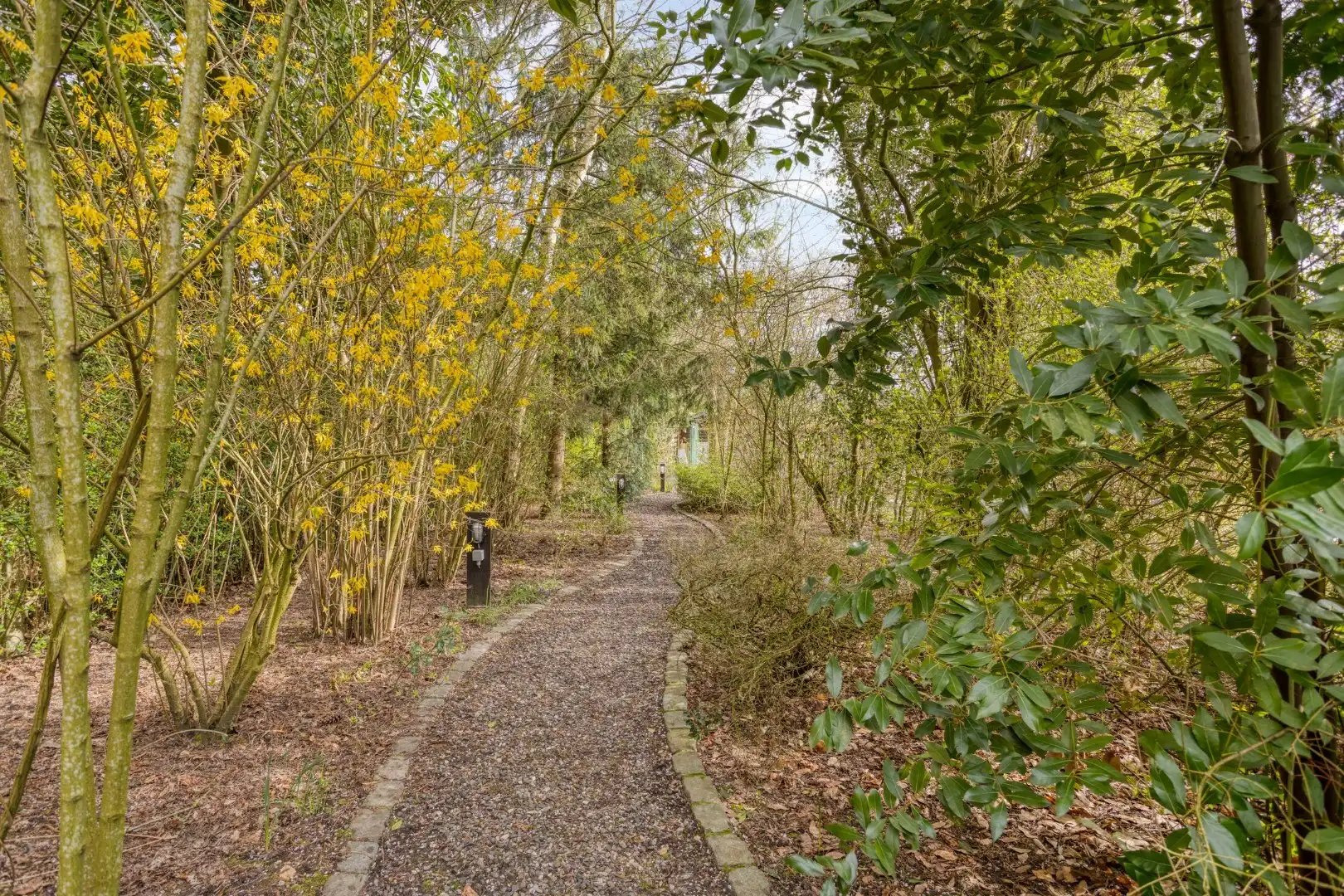 Alleenstaande woning met 2 slaapkamers, garage en grote tuin - verscholen in het groen. foto 28