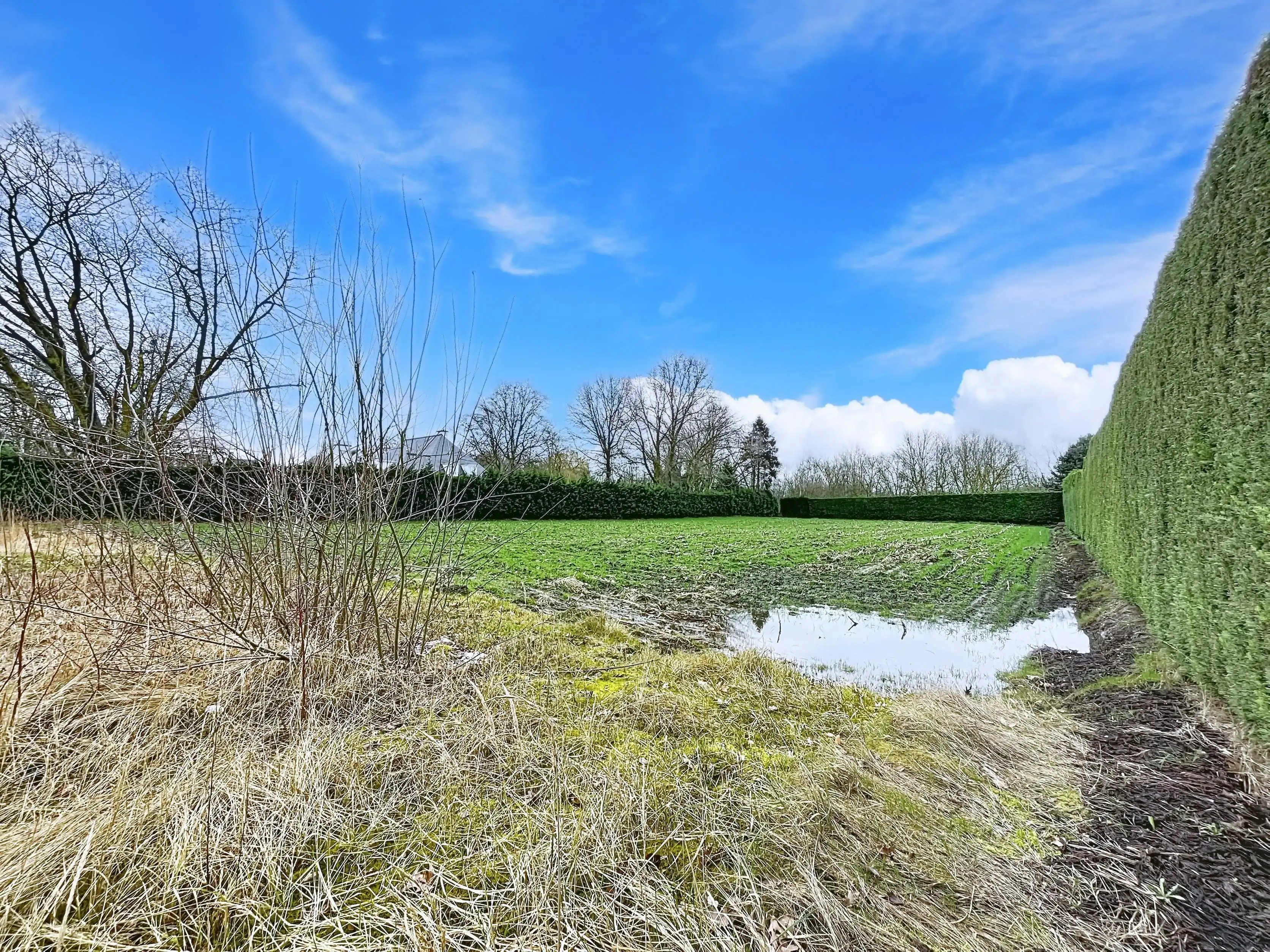 Uniek perceel bouwgrond van 3.421 m² te koop in Eeklo foto 7