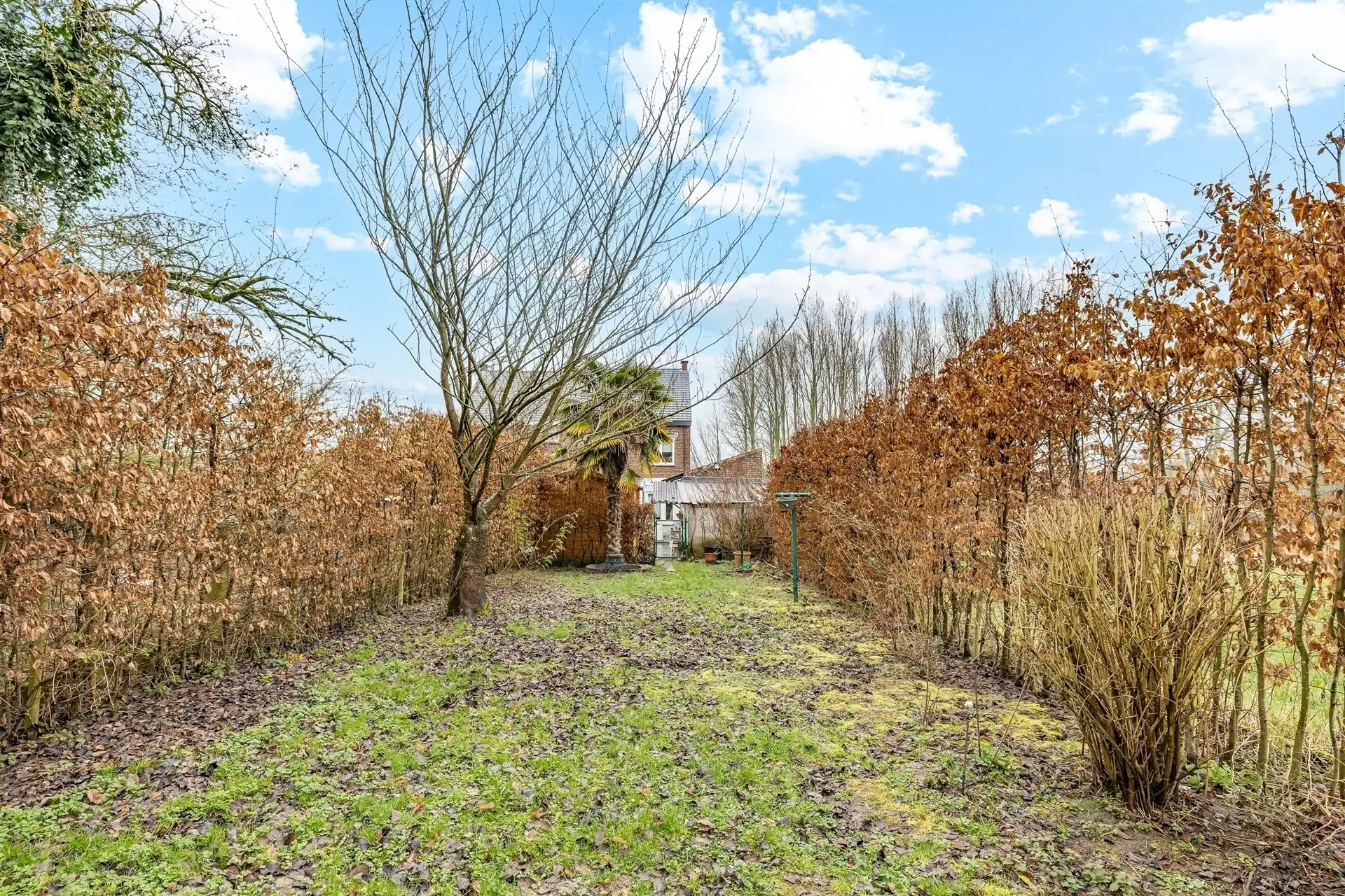 Gezellige woning met 3 slpks op een perceel van 7a 4ca foto 4