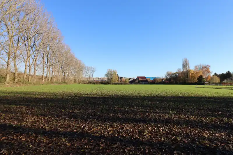 Exclusief nabij Avelgem! Grond in de bouwzone op 1ha 89ca met straatbreedte van 27m! foto 8