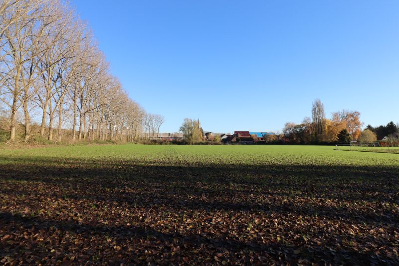 Exclusief nabij Avelgem! Grond in de bouwzone op 1ha 89ca met straatbreedte van 27m! foto 8