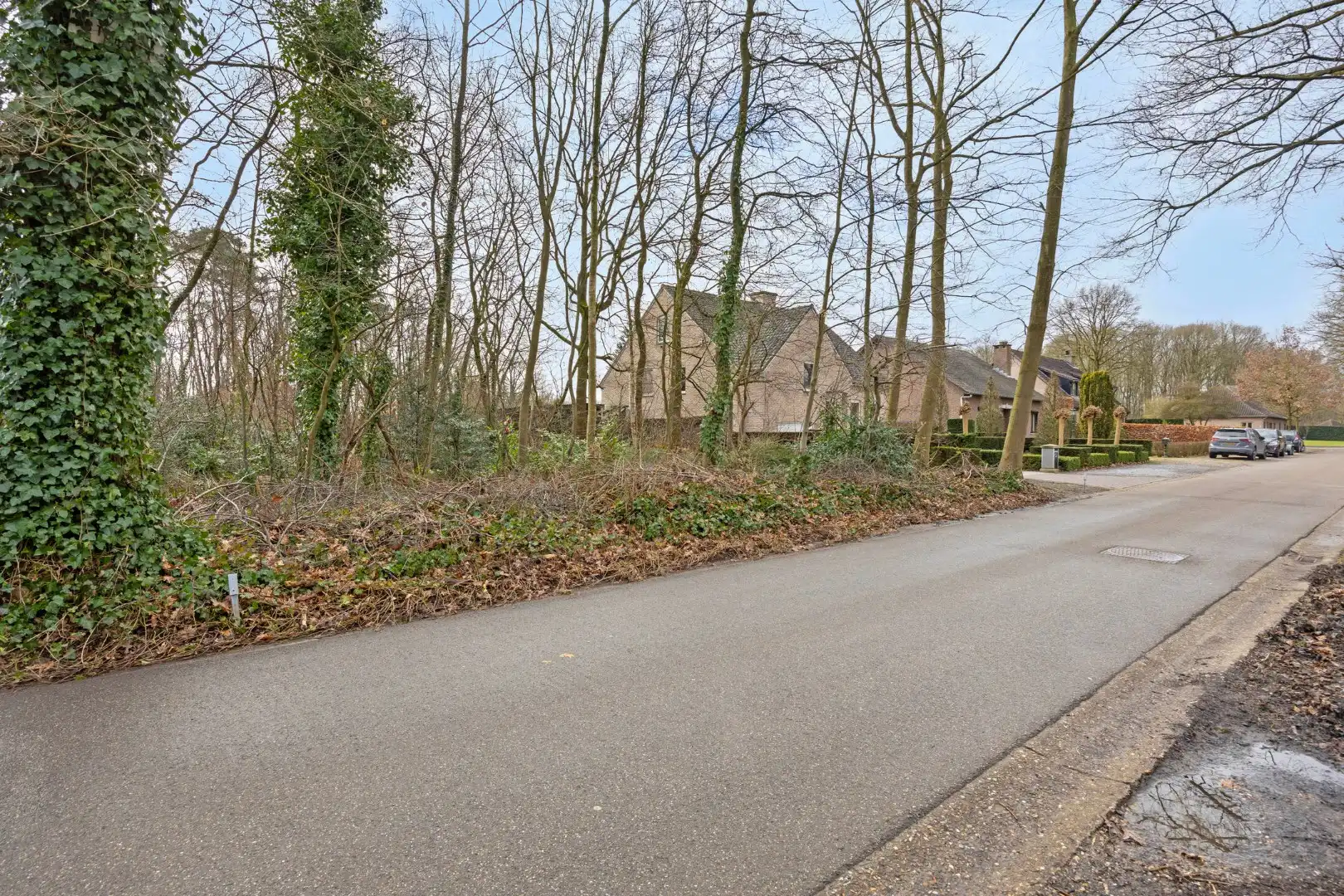 2 BOUWGRONDEN VOOR OPEN BEBOUWING EN ACHTERLIGGENDE GRONDEN in de bosrijke villabuurt op de Bosstraat te Lanaken!  foto 9