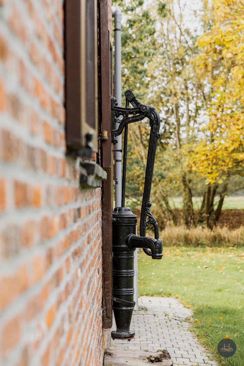 Groen, rustig gelegen woning op 1.71 ha tussen de weilanden foto 6