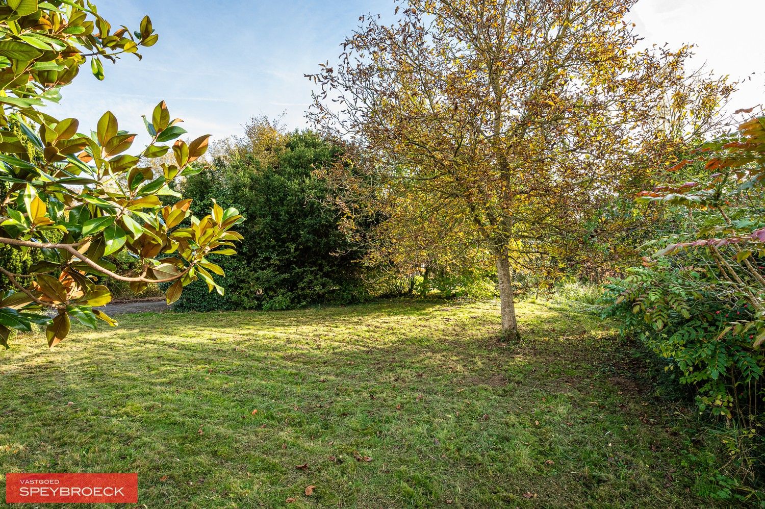 TE KOOP IN ASTENE foto 19