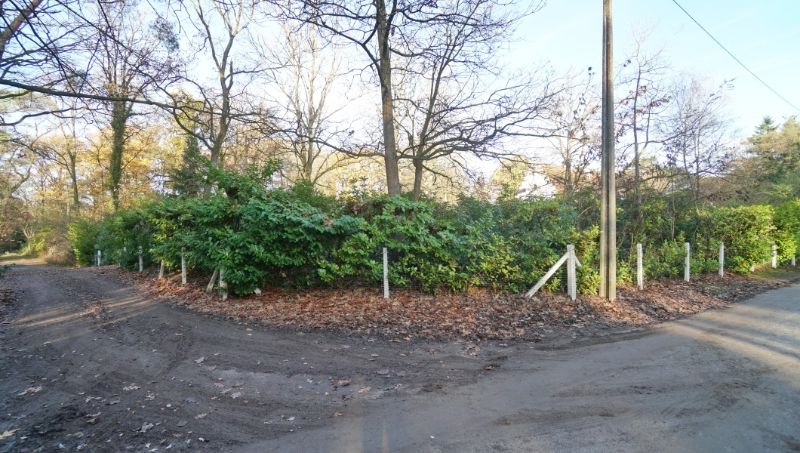 Bouwgrond van 50 are met perceelsbreedte van 30 meter foto 2