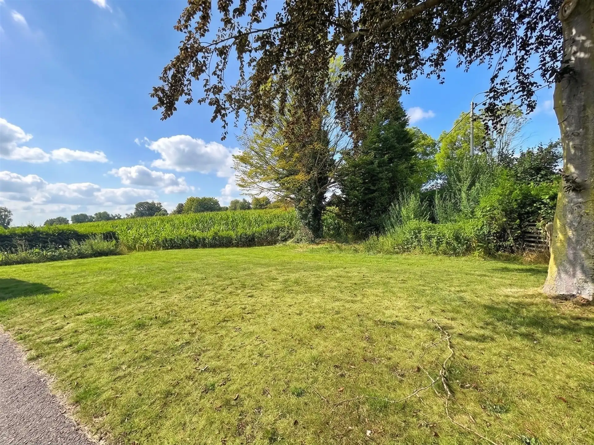Prachtige bungalow met rust, ruimte en groen op een prachtig perceel van 4.000 m² in Temse (Velle) foto 14