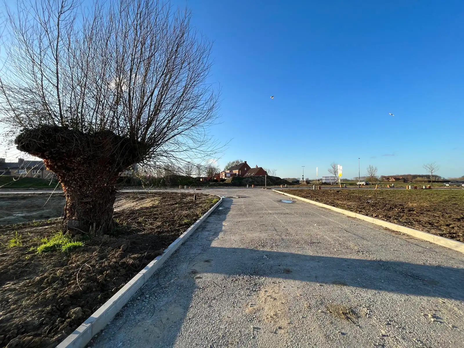 Bouwgrond foto {{pictureIndex}}