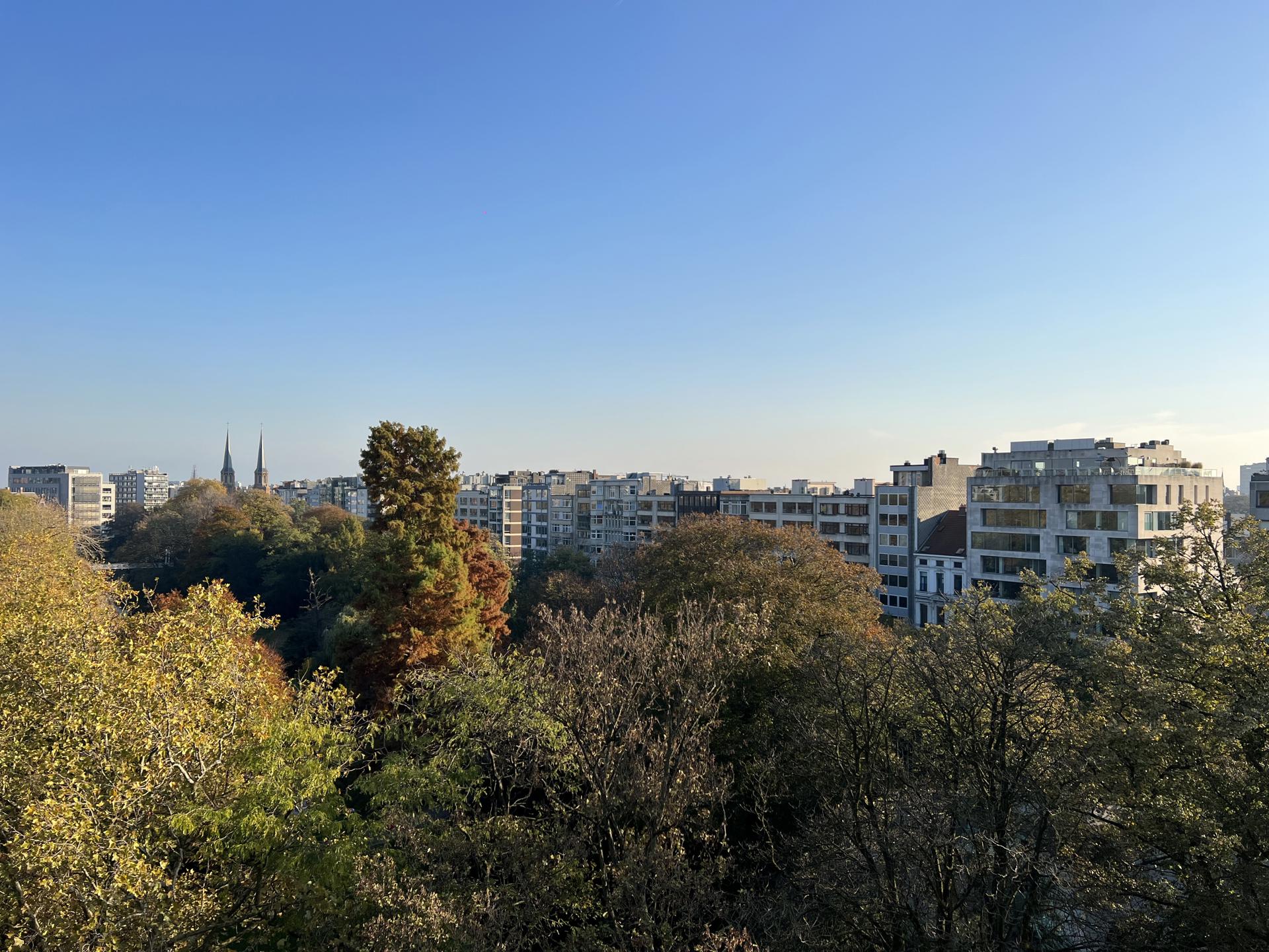 Gerenoveerd appartement met zicht op het park foto 11