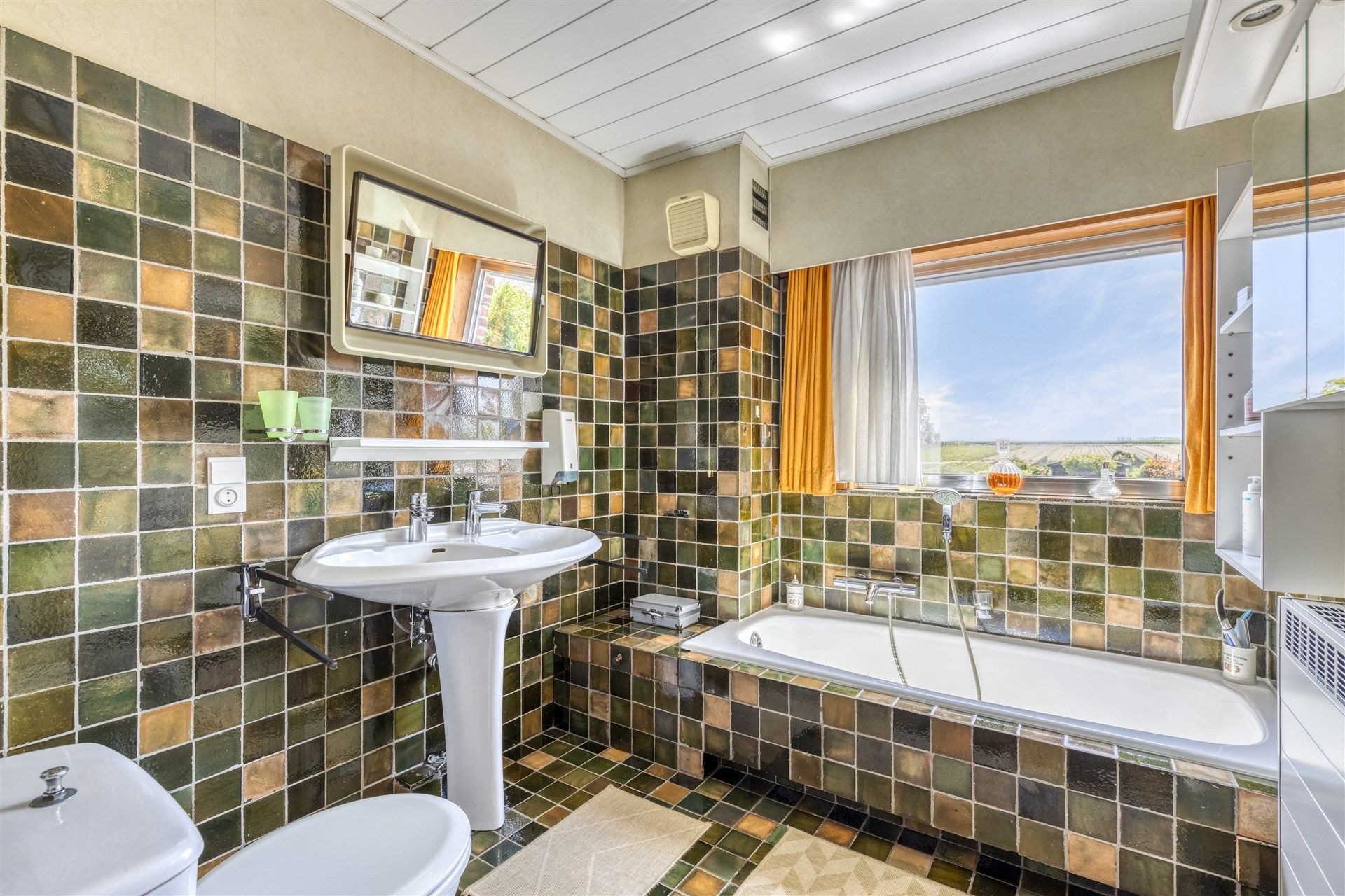 Charmante, energiezuinige woning met prachtige tuin foto 12