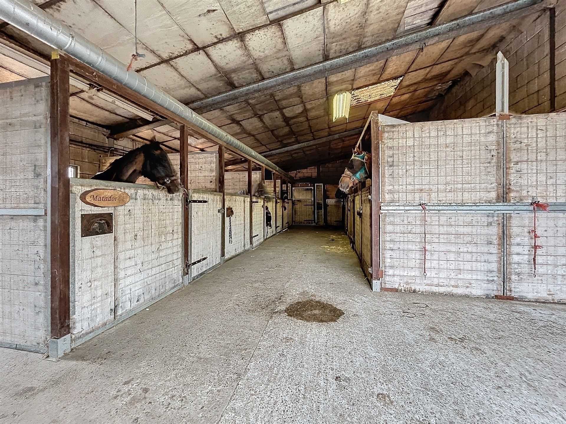 PRACHTIG GELEGEN HOEVE met bijgebouw, paardenstallen, binnenpiste en weiden op 18.385m² foto 11