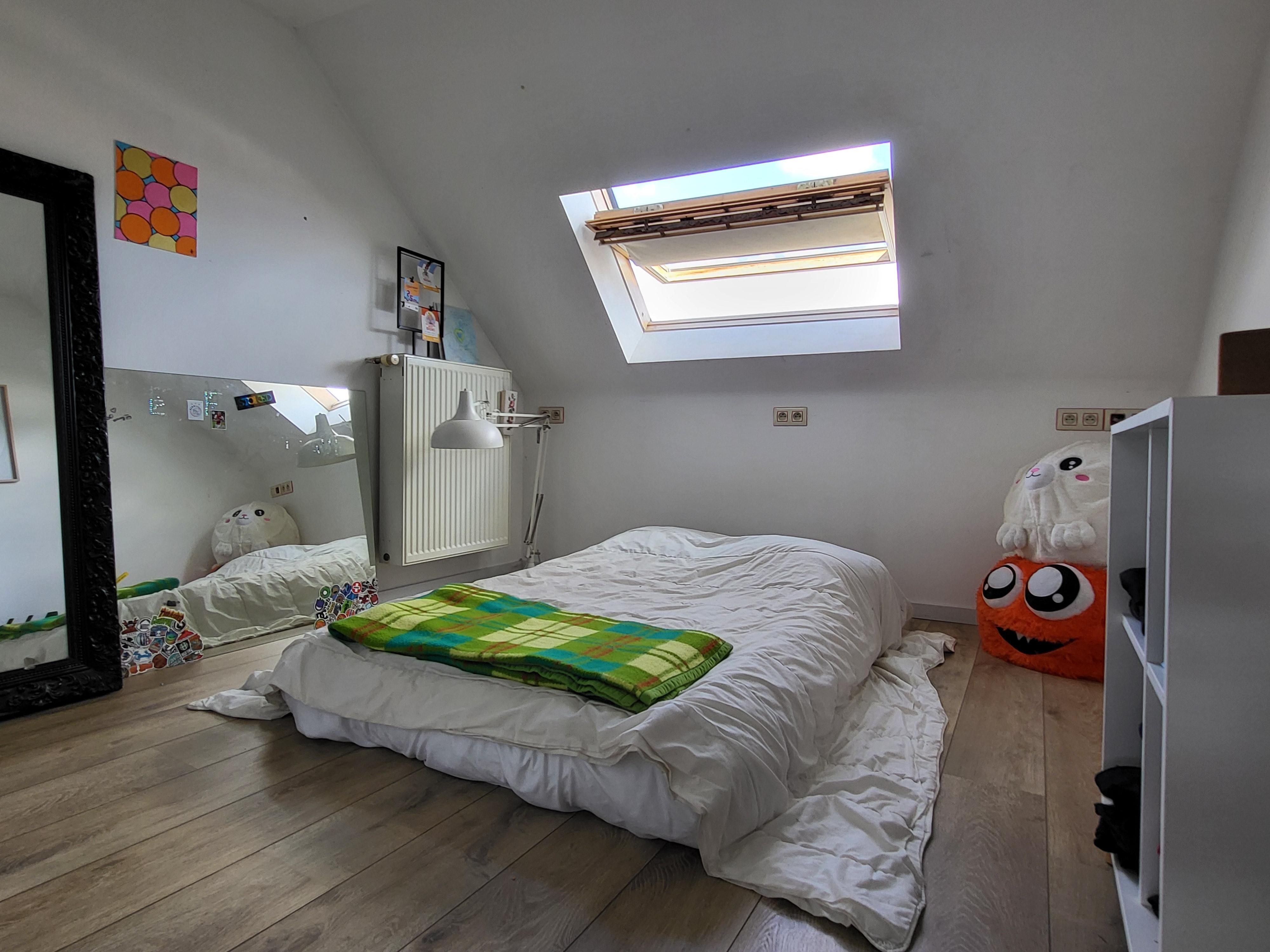 Prachtig gerenoveerde burgerwoning op wandelafstand van het centrum met zuidgerichte tuin.  foto 23